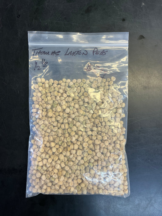 Thomas Laxton Peas