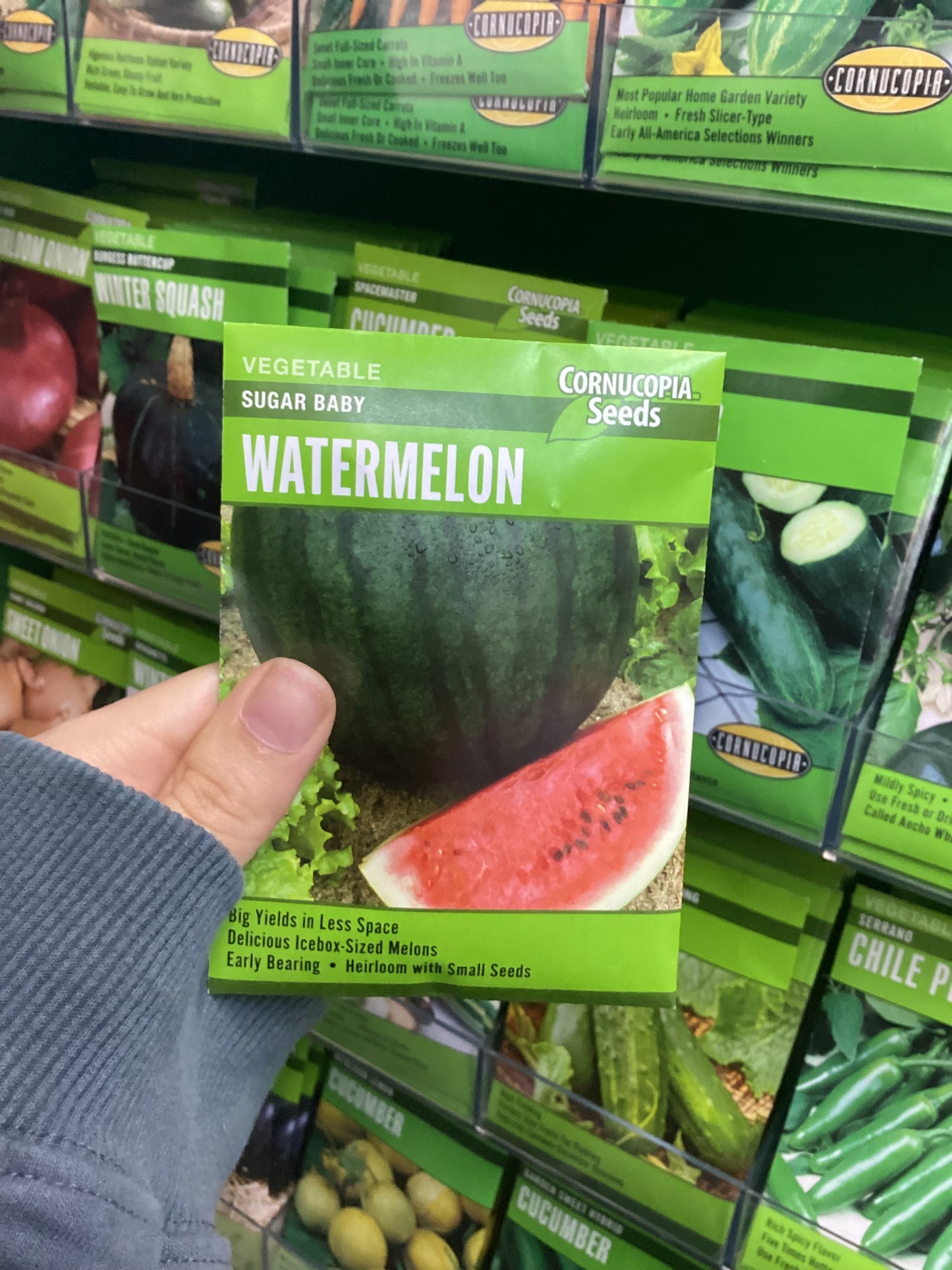 Sugar Baby Watermelon