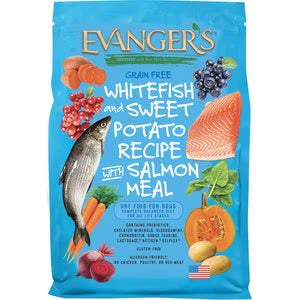 Evangers Grain free Whitefish and Sweet Potato Recipe with Salmon Meal