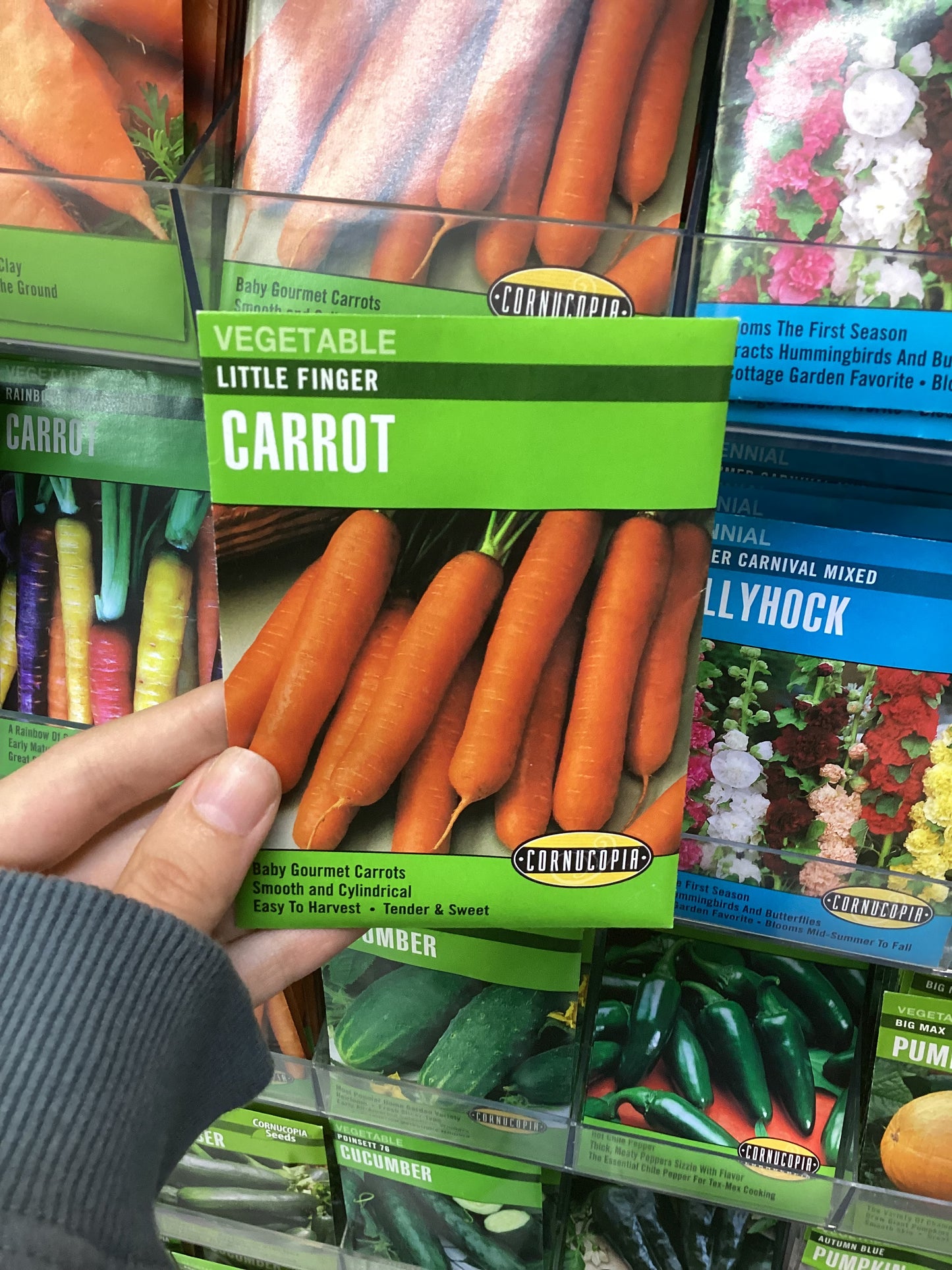 Little Finger Carrot