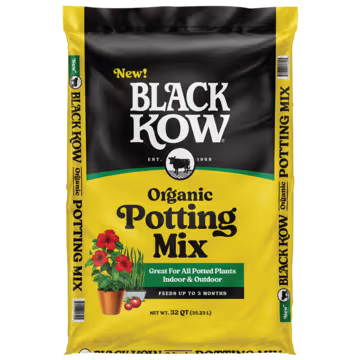 Black Kow Potting Mix