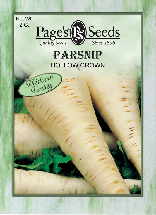 Parsnip