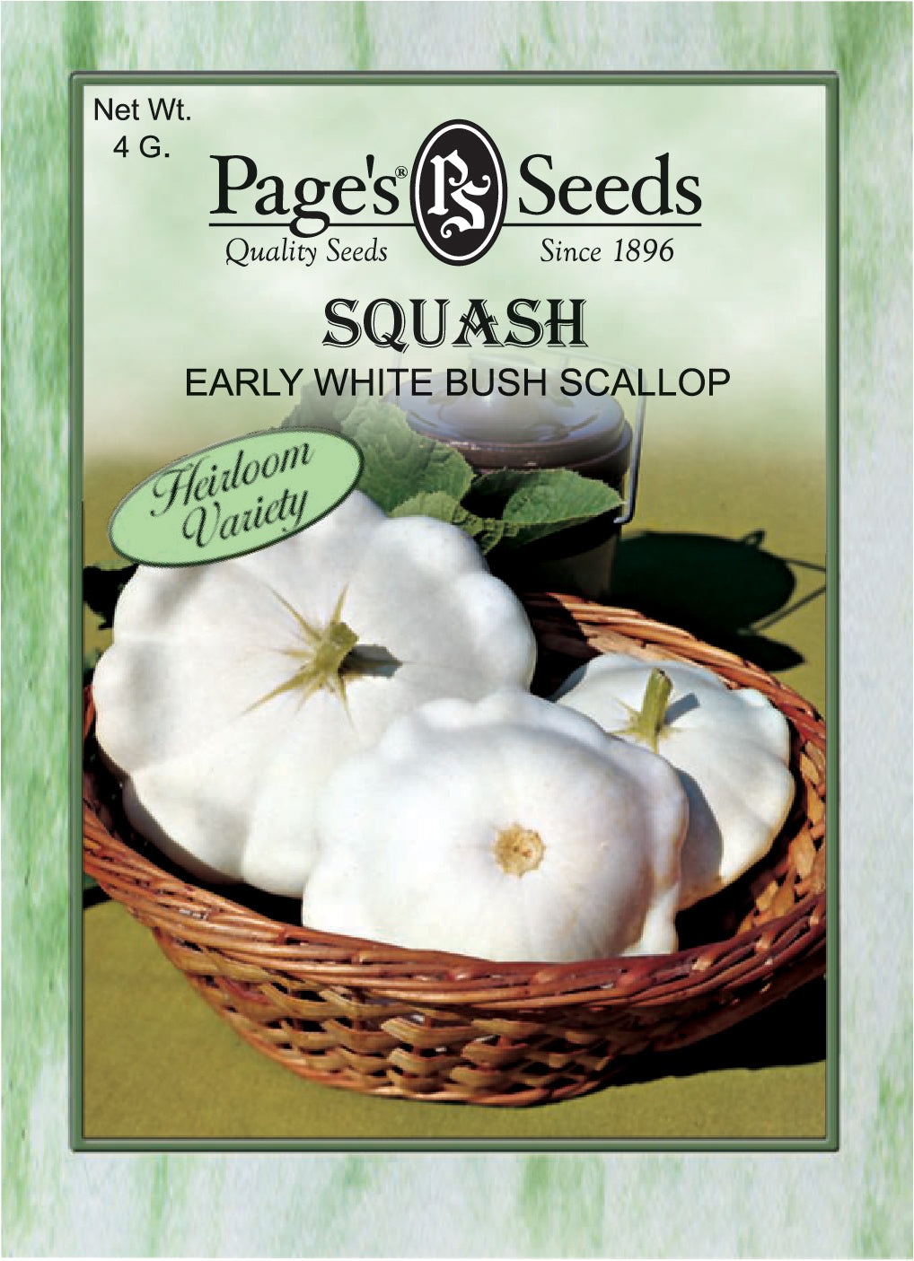 Squash