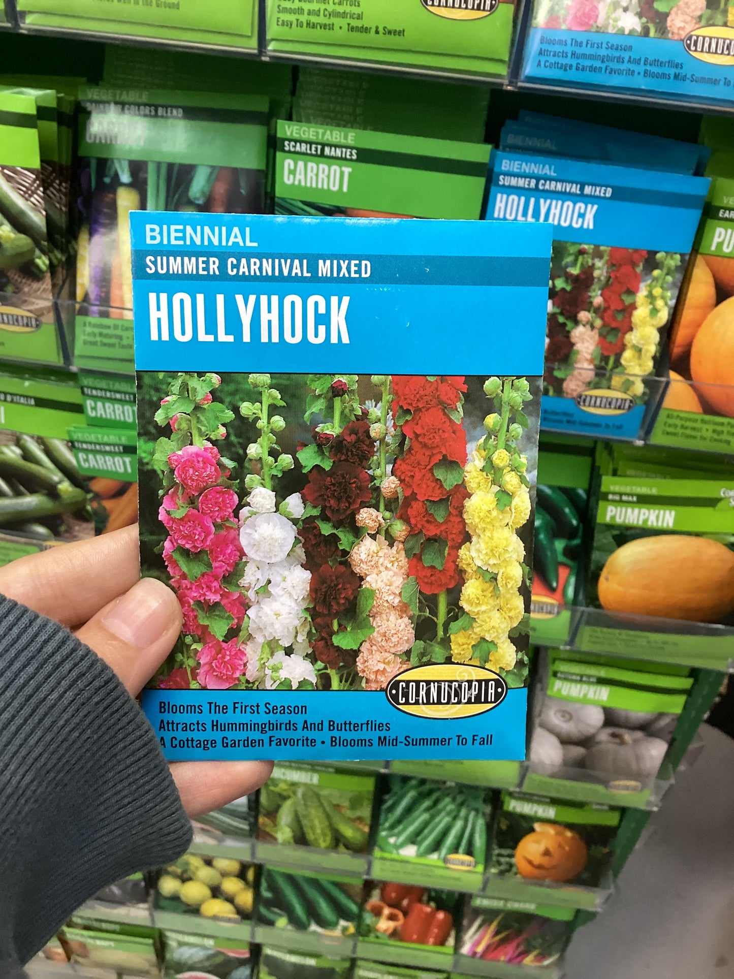 Summer Mixed Hollyhock