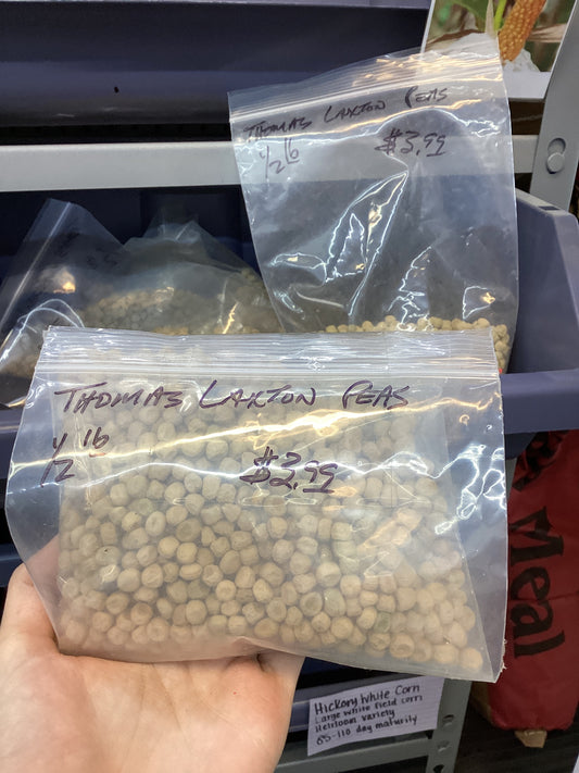 Thomas Laxton Peas