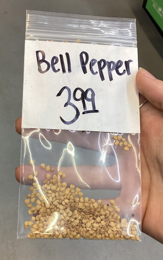 Bell Pepper Seeds