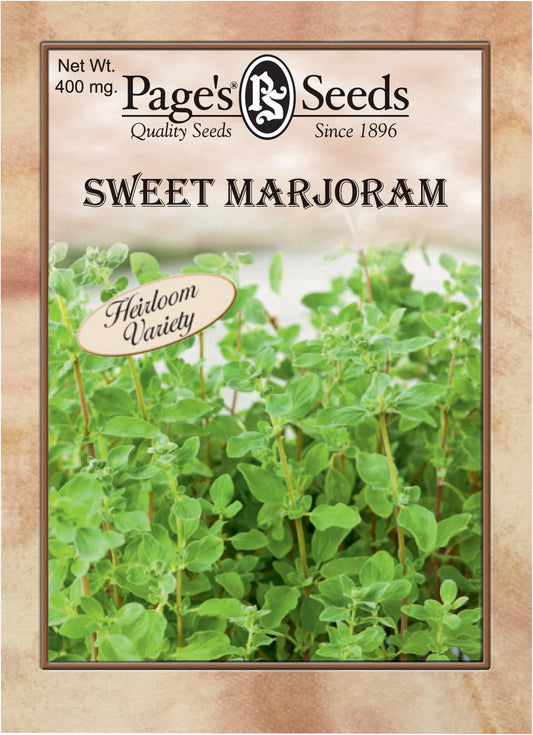 Sweet Marjoram