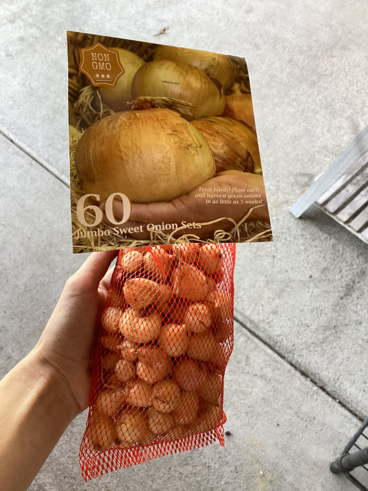 Sweet onion sets