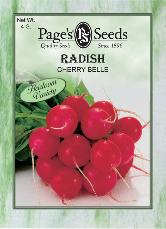 Radish