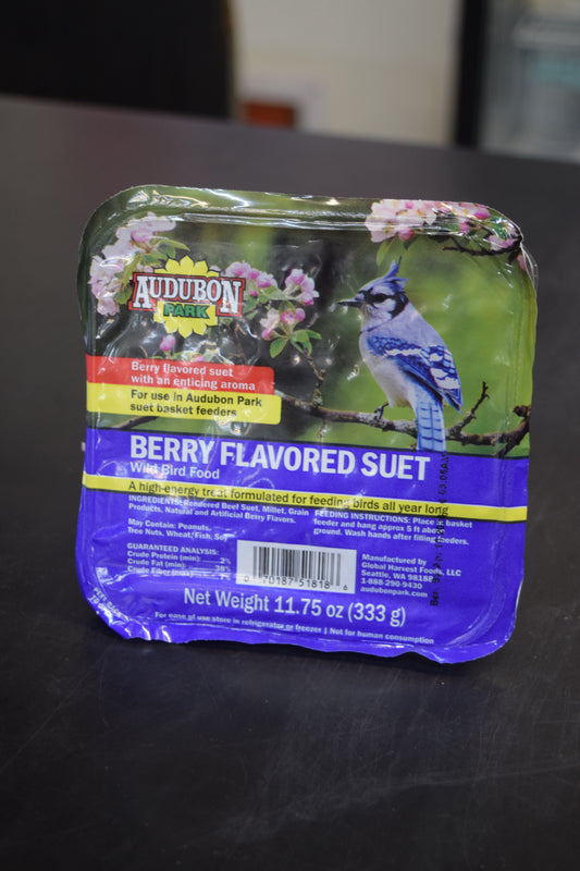 Audubon Park Berry Flavored Suet