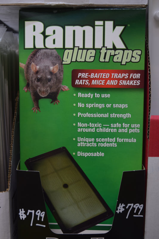 Ramik Glue Traps