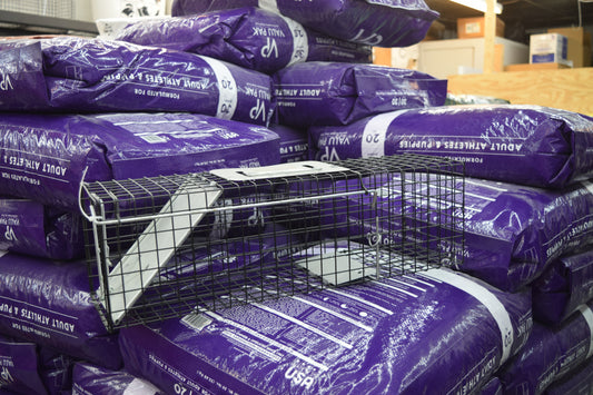 Double Tuf Trap Small