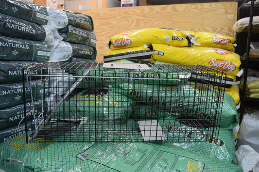 Double Tuf Trap Large