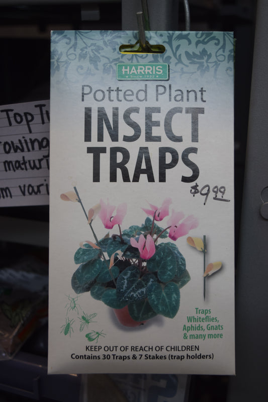Potted Plant Insect Traps