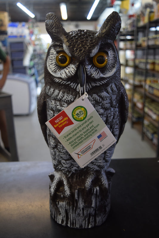 Garden Owl Decoy