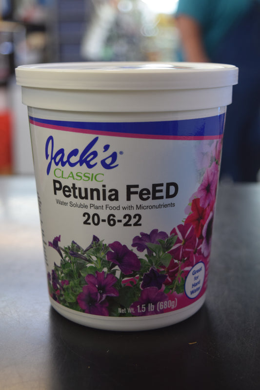 Petunia FeED 20-6-22