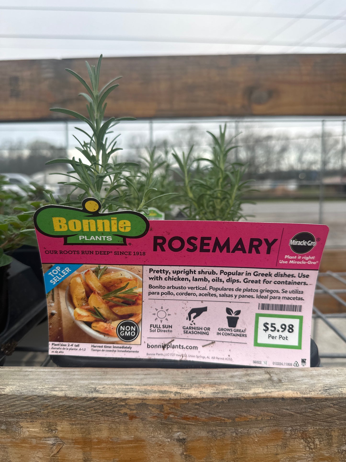 Bonnie Rosemary