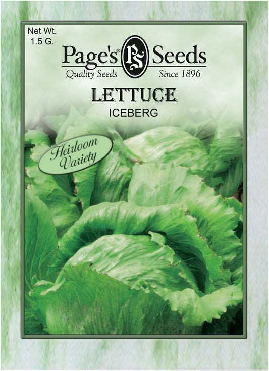 Iceberg Lettuce