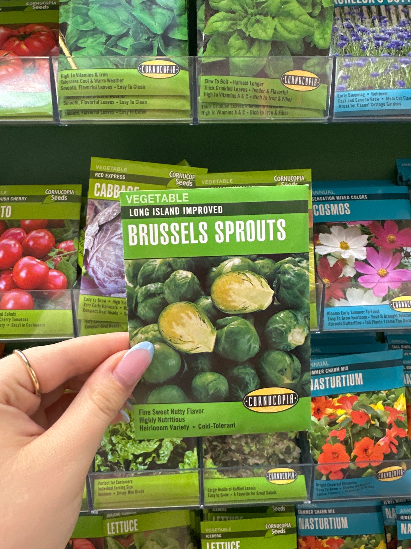 Long Island Improved Brussels Sprouts