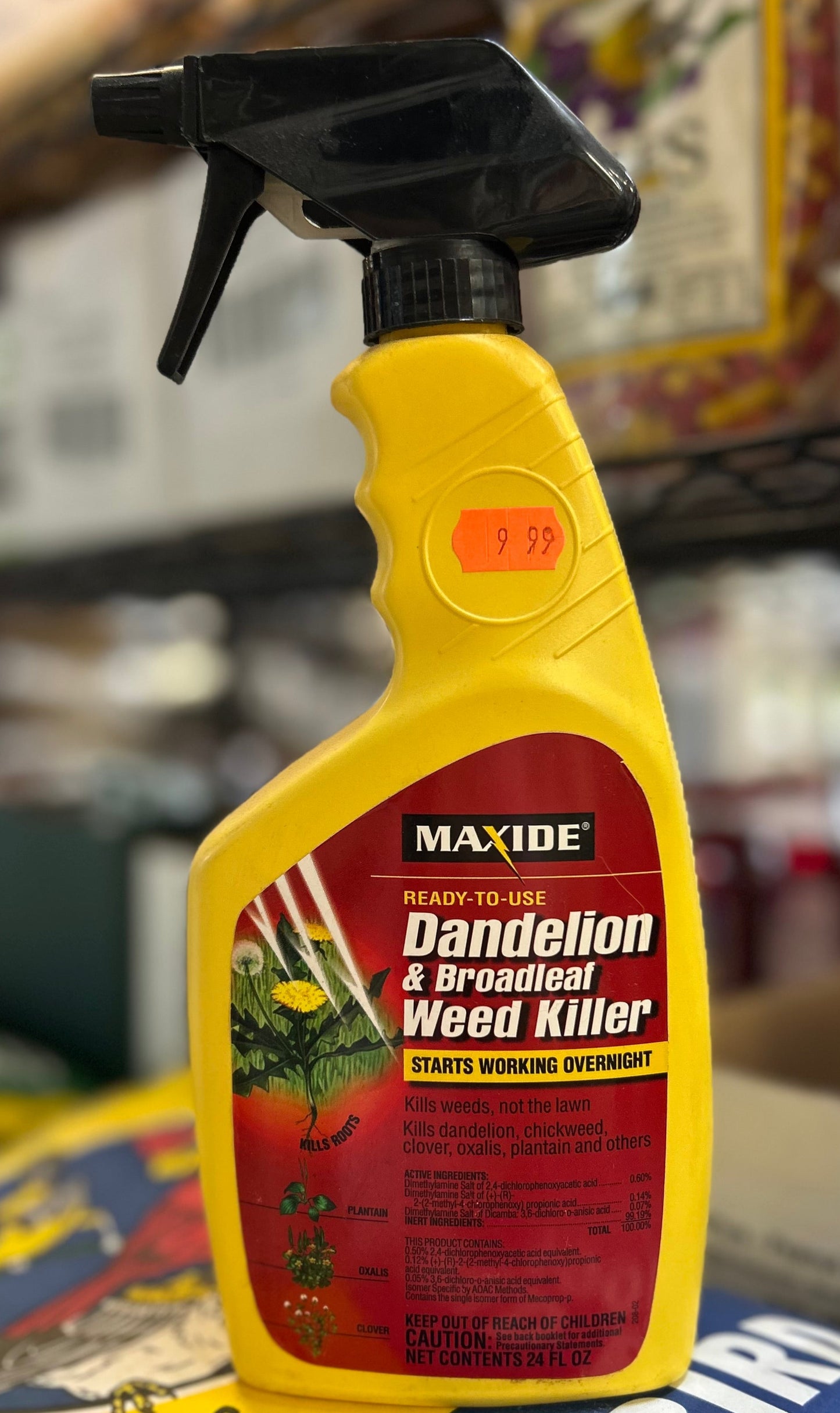 Maxide Dandelion & Broadleaf Weed Killer