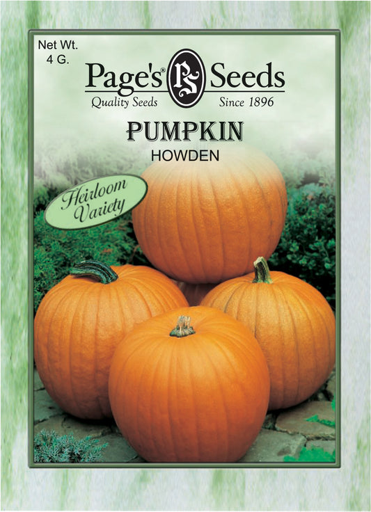 Pumpkin