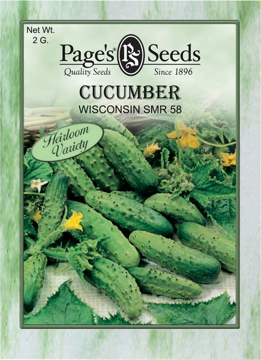 Cucumber (small)