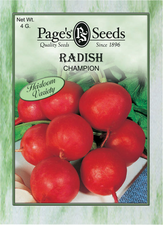 Radish