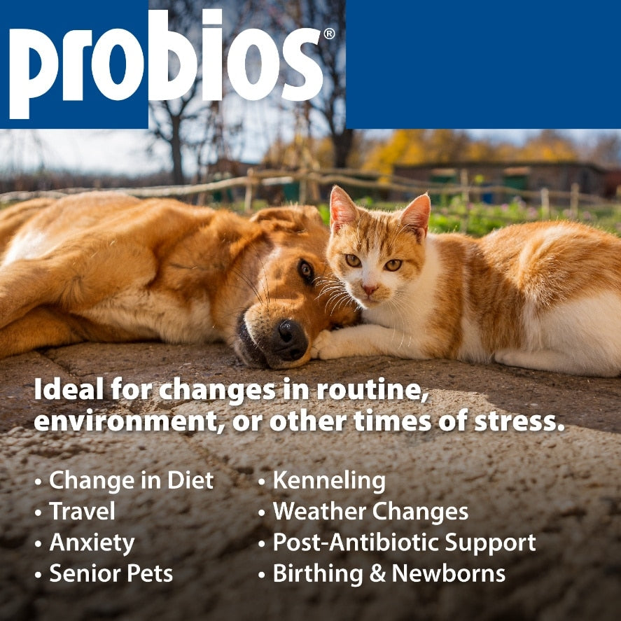Probios Medium-Large Dog Soft Chews