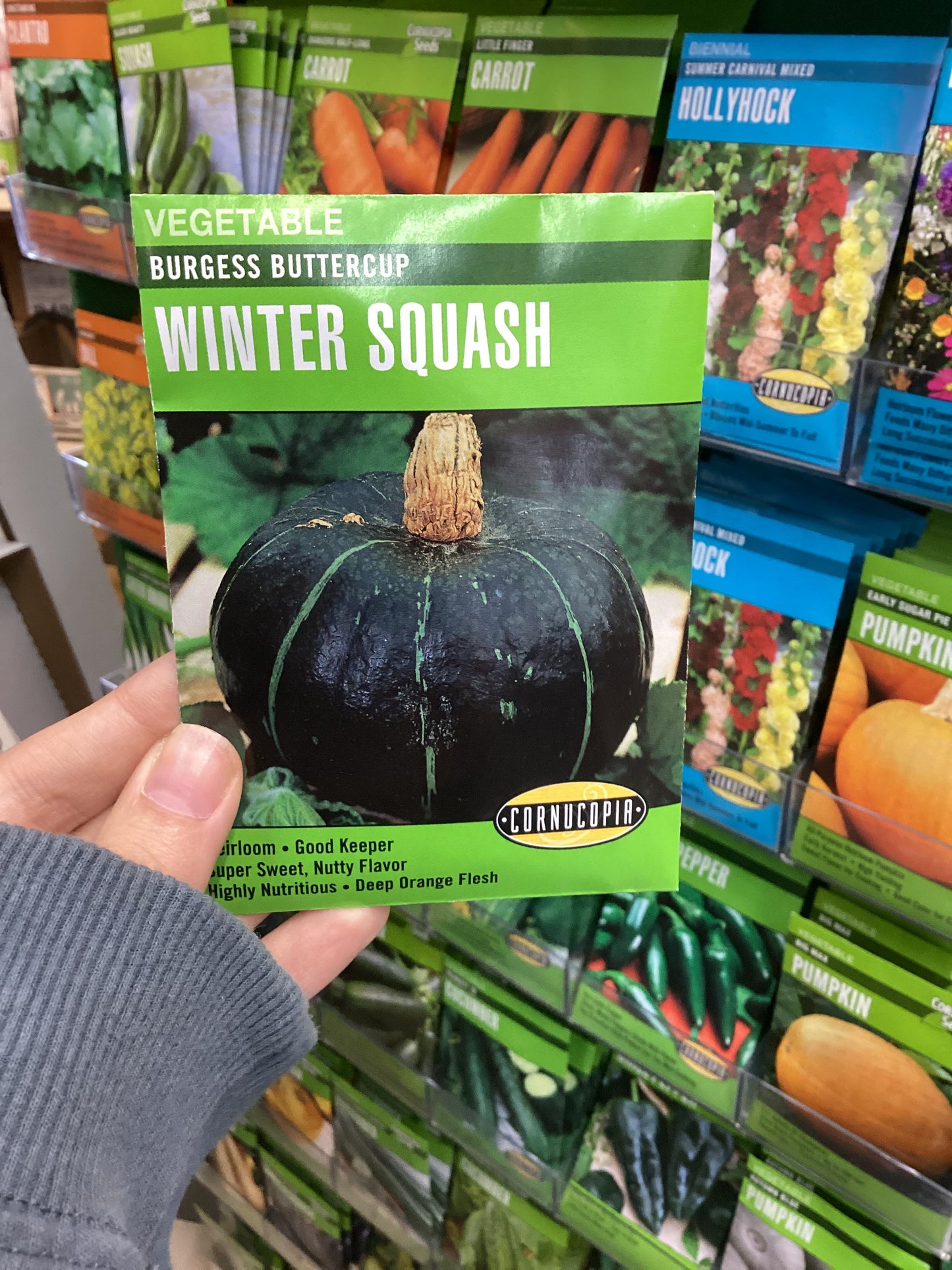Winter Squash