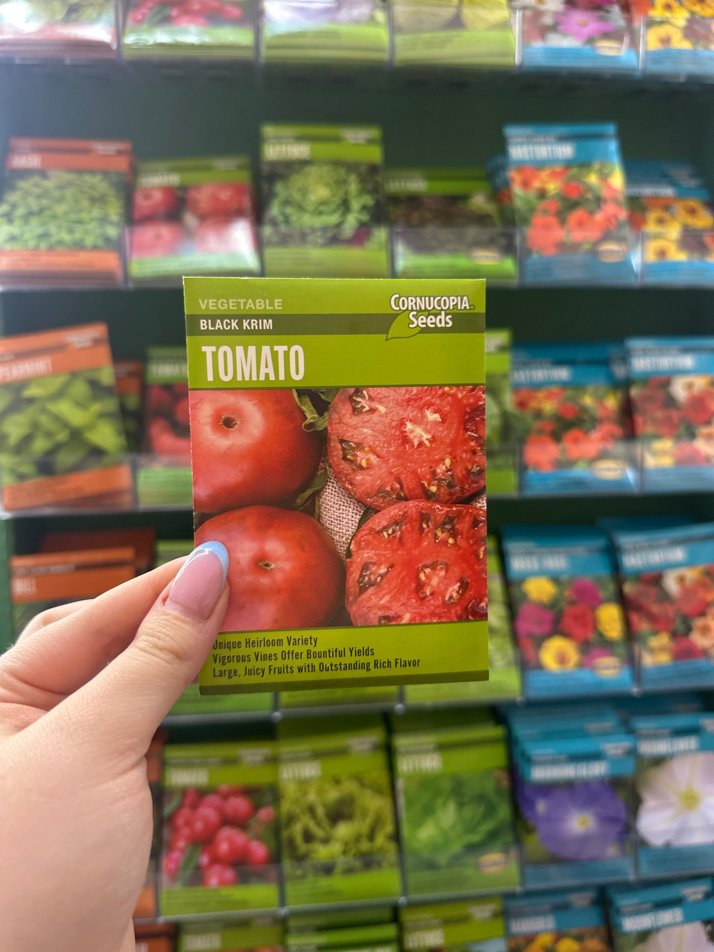Black Krim Tomato