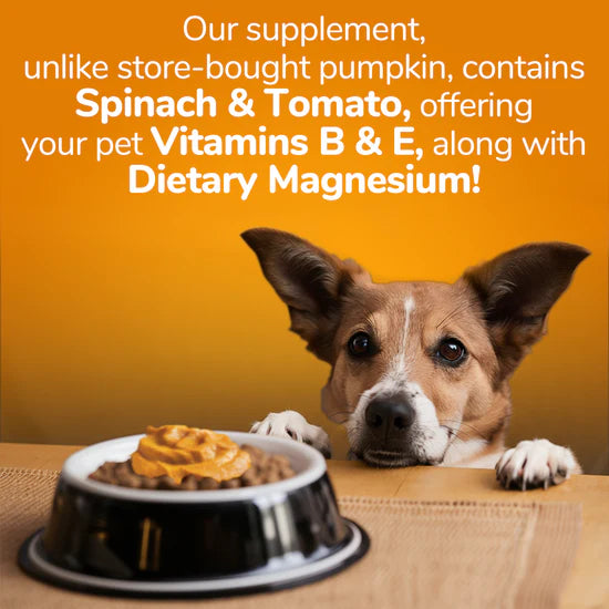 Fruitables Pumpkin Superblend Digestive Supplement