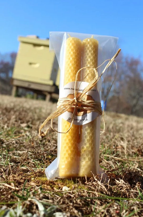 Honeycomb Beeswax Taper Candles- NWGA Busy Bees