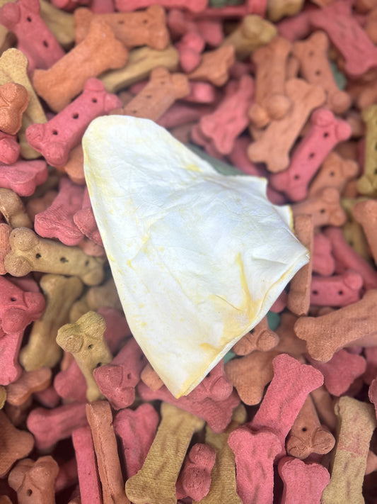 Pig Ear Dog Chew