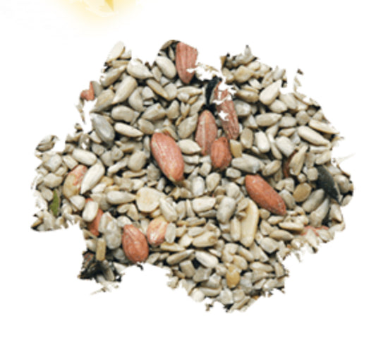 Terraza, porche y patio - Wild Delight