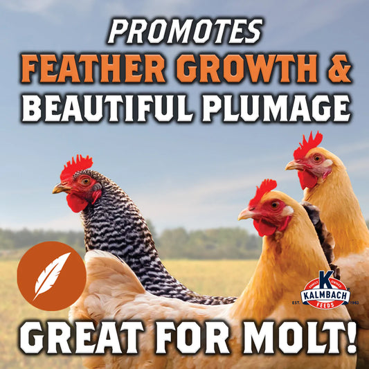 Full Plume Feathering Feed