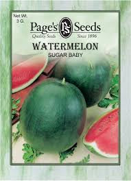 Watermelon