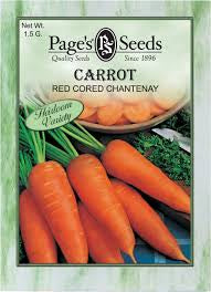 Carrot