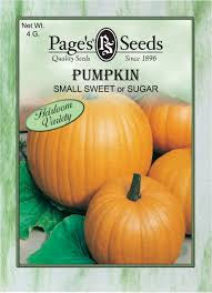 Pumpkin