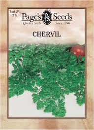 Chervil
