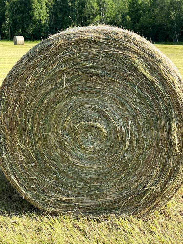 Round Bale Hay