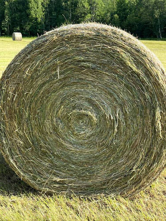 Round Bale Hay