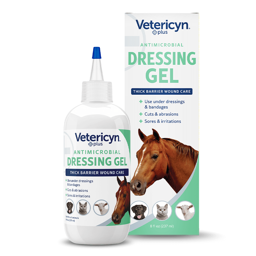 Antimicrobial Dressing Gel