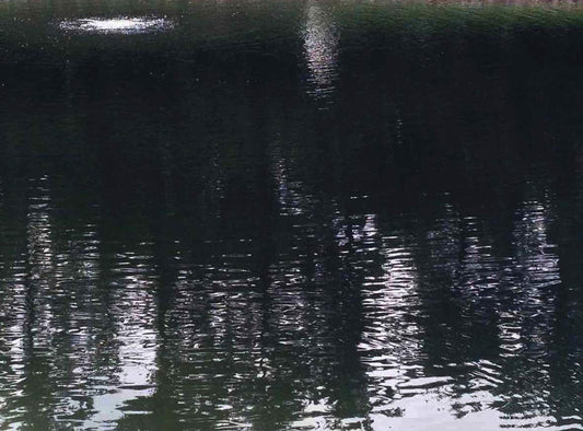 AquaVet Black Pond Dye