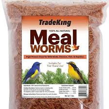 Trade King Meal Worms 11lb