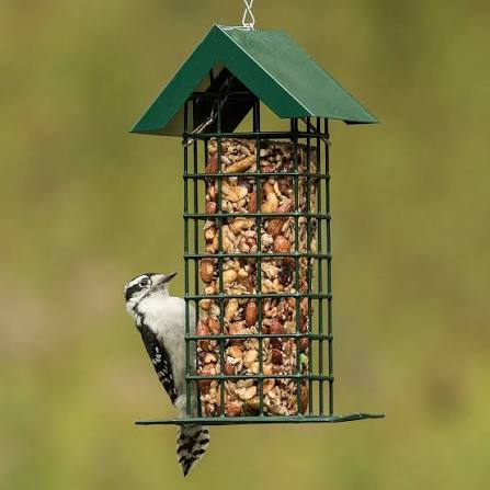 Block Feeder