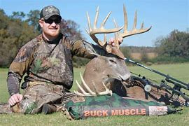 Buck Muscle