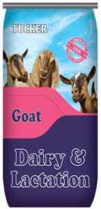 Tucker Milling Goat Dairy & Lactation