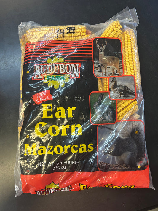 Audubon Park Ear Corn on the Cob