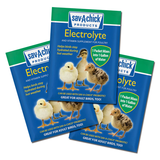Sav-A-Chick Electrolyte Packs