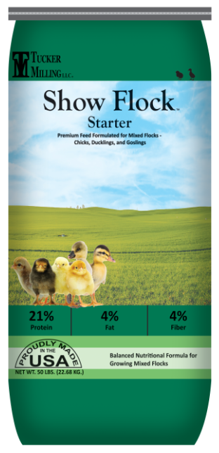 Show Flock 21% Starter